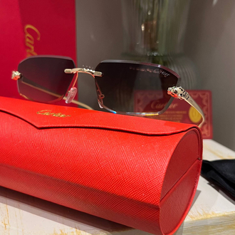 Cartier C63 Silver 