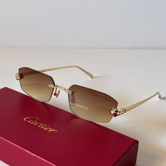 Cartier Panthere c63