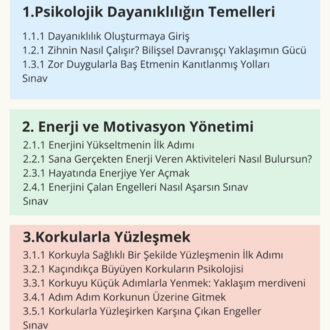 Psikolojik Dayanıklılık Online Programı