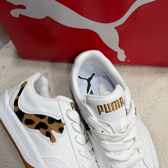 Pma Leopar