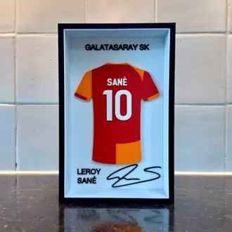 Sane Forma Çerçevesi