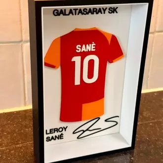Sane Forma Çerçevesi