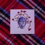 Flower Man - 2020