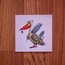 Rose pelican - 2020