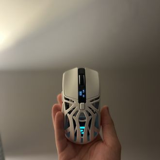Aymes77 mouse 1000 hz