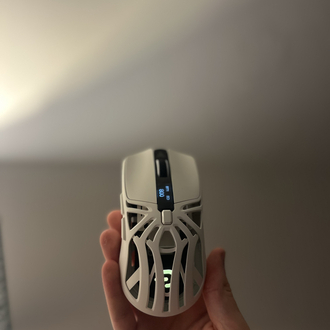 Aymes77 mouse 1000 hz