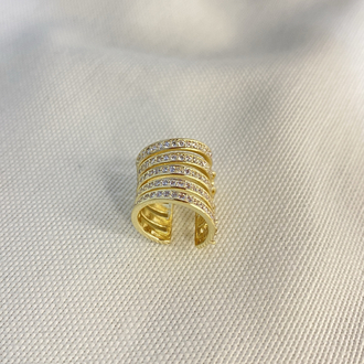 Bernie Earcuff