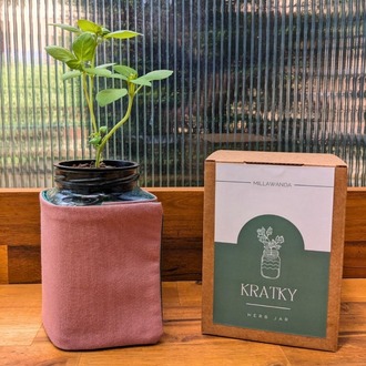 Millawanda Kratky Topraksız Mutfak Saksısı