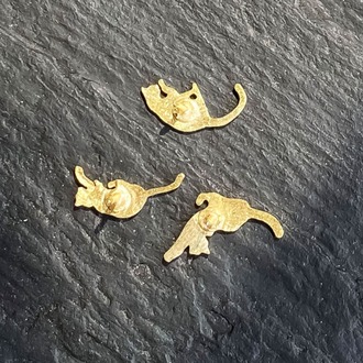 Kedi Döngüsü Broş Set