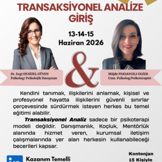 TRANSAKSİYONEL ANALİZE GİRİŞ