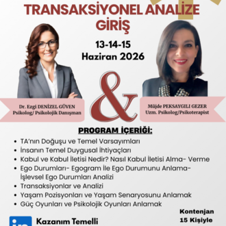 TRANSAKSİYONEL ANALİZE GİRİŞ