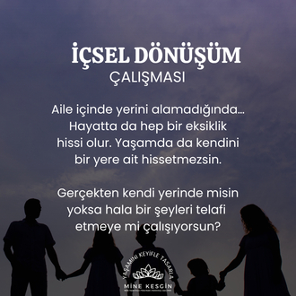 İÇSEL DÖNÜŞÜM ALANI