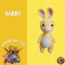 RABBİT - WİNNİE THE POOH