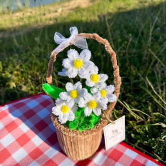 Mini Papatya Sepeti