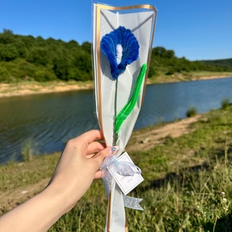 Gizli Derinlik (Mavi)