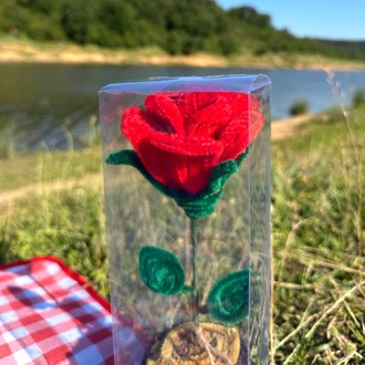 Kutuda Köklü Aşk
