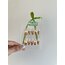 #(19)Leopar fiyonk tırnak kahve