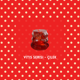 Vitis serisi 4'lü deneme seti (Mini boy)