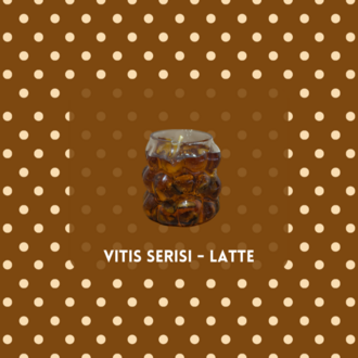 Vitis serisi 4'lü deneme seti (Mini boy)