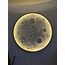 Moonlight Dekor