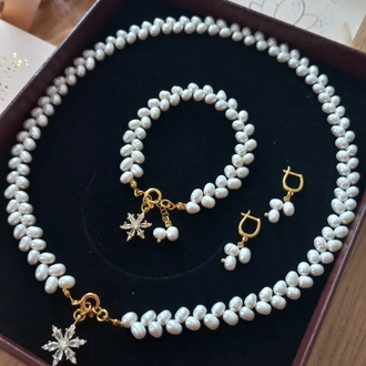 GÜMÜŞ KLİPSLİ ~2 PETAL SET