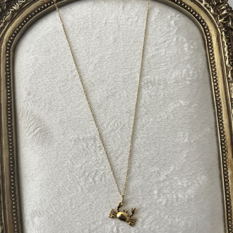 Yengeç Kolye (50+5 cm) | Çelik