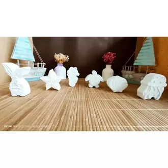 6 Adet (3D) Deniz Canlıları Taş Boyama Seti Çocuk Gelişimi Etkinlik