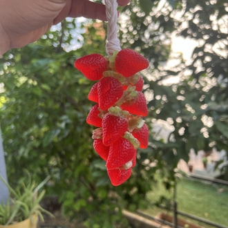 Çilek sabunu