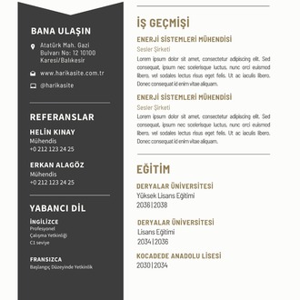 CV (ÖZGEÇMİŞ)