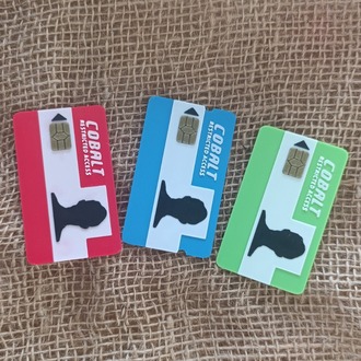RUST Kartları(Keycards) Seti