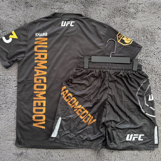 Khabib Nurmagomedov UFC229