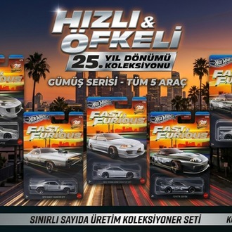 Hızlı ve Öfkeli 25.yıl özel seri gümüş renk