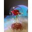 BEYAZ FANUSTA KIRMIZI GÜL