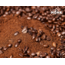 Kenya Nyeri - Filtre Kahve