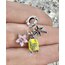 Hawaii seyahat charm pandora
