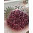 30’LU SİMLİ PRİNCESS