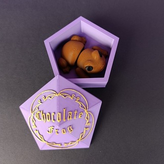 Harry Potter Chocolate Frog Kutusu ve Kurbağa Figürü