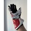 ALPİNESTARS GP pro eldiven