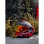 SHOEİ MARQUEZ 93 KIRMIZI