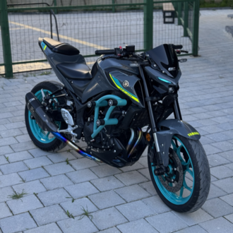 Yamaha MT-25 6’lı Ön Koruma Demiri Turkuaz