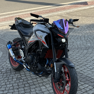 YAMAHA MT-25 RAİNBOW BUKALEMUN SPOR ÖN CAM ( YENİ KASA )