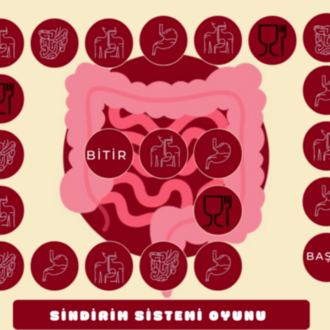 SİNDİRİM SİSTEMİ