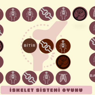 İSKELET SİSTEMİ OYUNU