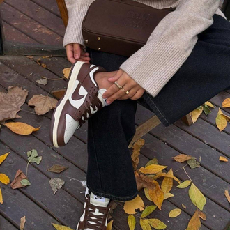 Nike Dunk Low Cacao Wow