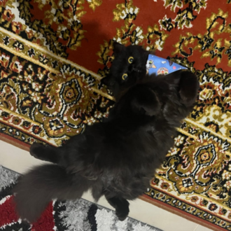 Kişiye Özel Sipariş - "Luna"