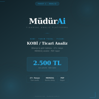MüdürAI KOBİ / Ticari Analiz