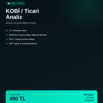 MüdürAI — Orta & Büyük KOBİ Finansal Analizi