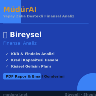 MüdürAI — Bireysel Finansal Analiz