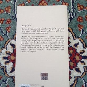 Posta Kutusundaki Mızıka(A.Ali Ural)