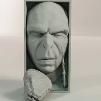 VOLDEMORT KİTAPLIK STANDI